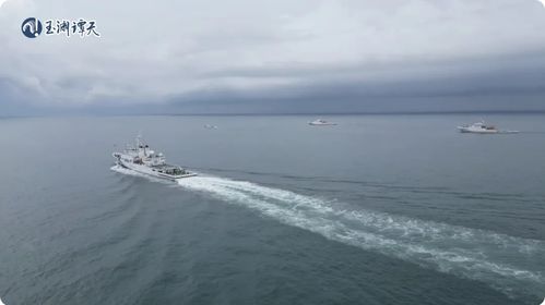 臺灣海峽管控格局演變下的陸路國際貨運代理業(yè)務(wù)新機遇